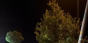 Afyonkarahisar'da Aydınlatma Direğine Çarpan Otomobilde 4 Yaralı