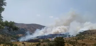 Afyonkarahisar'da Çıkan Örtü Yangını Kontrol Altına Alındı