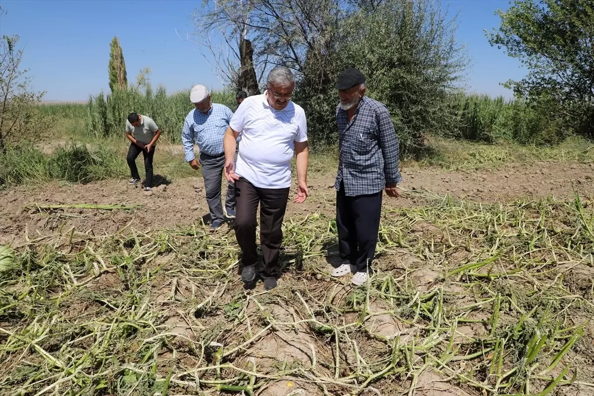 Afyonkarahisar'da Dolu Hasarı Tespiti Yapıldı