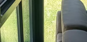 Afyonkarahisar'da Ofiste Yılan Panik Yaratıldı