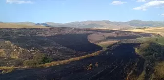 Afyonkarahisar'da Tarım Arazisinde Yangın Çıktı
