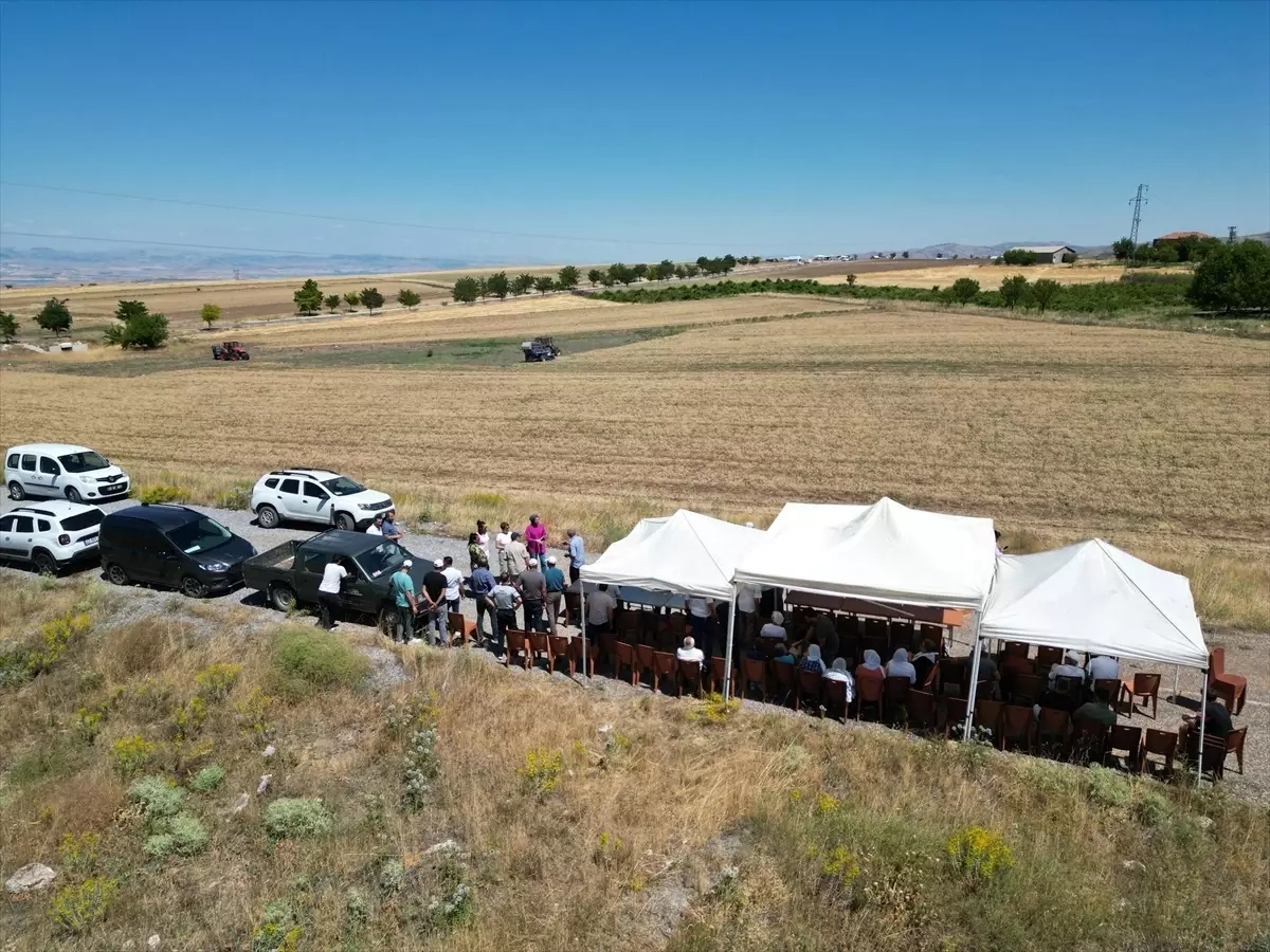Elazığ'ın Ağın İlçesinde Nohut Hasadı Yapıldı