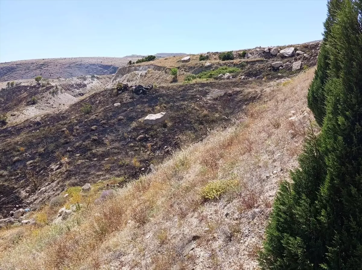 Elazığ'da Otluk Alanda Yangın Söndürüldü