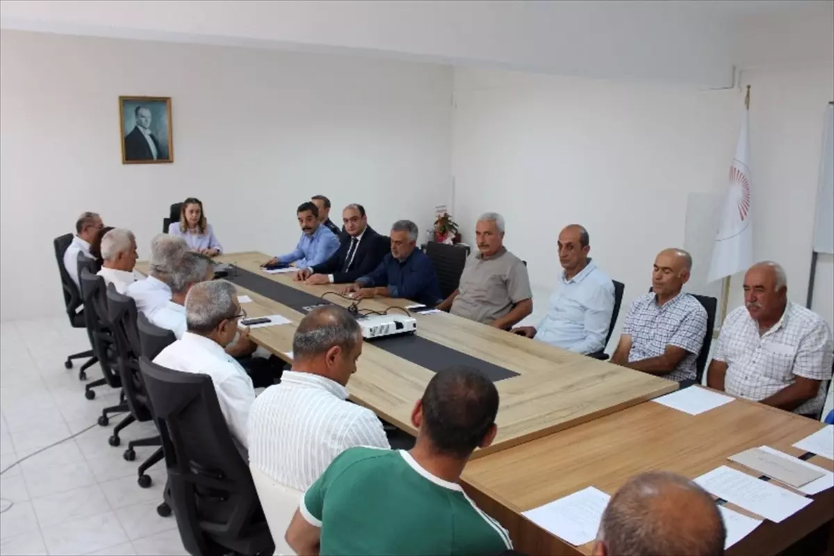 Kaymakam Tuğçe Yılmaz Muhtarlarla Toplantı Düzenledi