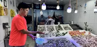 Balıkçılar Hamsi ile Yüzleri Gülüyor