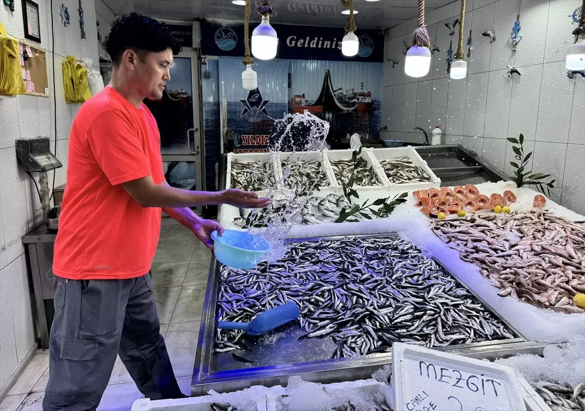 Balıkçılar Hamsi ile Yüzleri Gülüyor