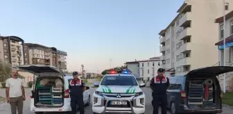 Doğubayazıt'ta Kaçak Avcılıkla Ele Geçirilen 240 Kilogram Kurbağa Doğaya Bırakıldı