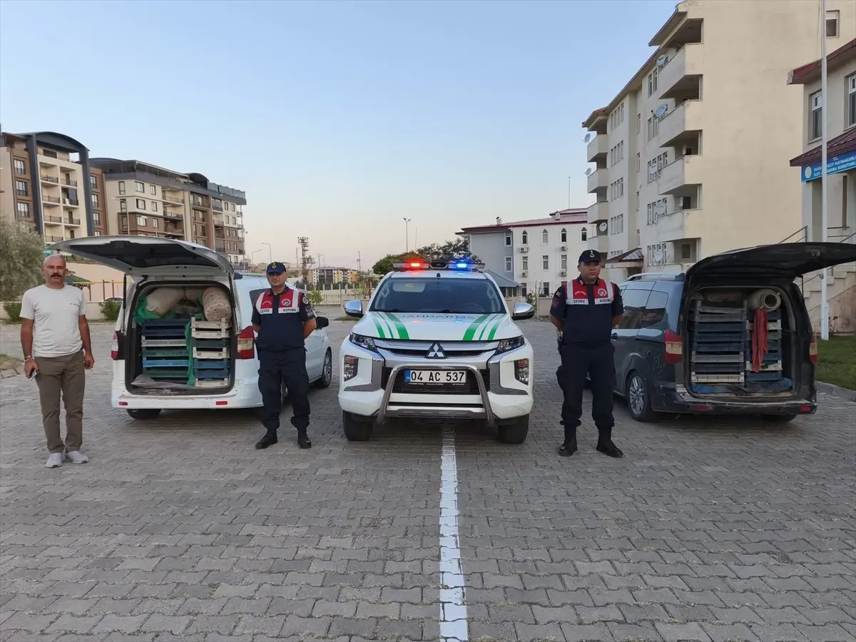 Doğubayazıt'ta Kaçak Avcılıkla Ele Geçirilen 240 Kilogram Kurbağa Doğaya Bırakıldı