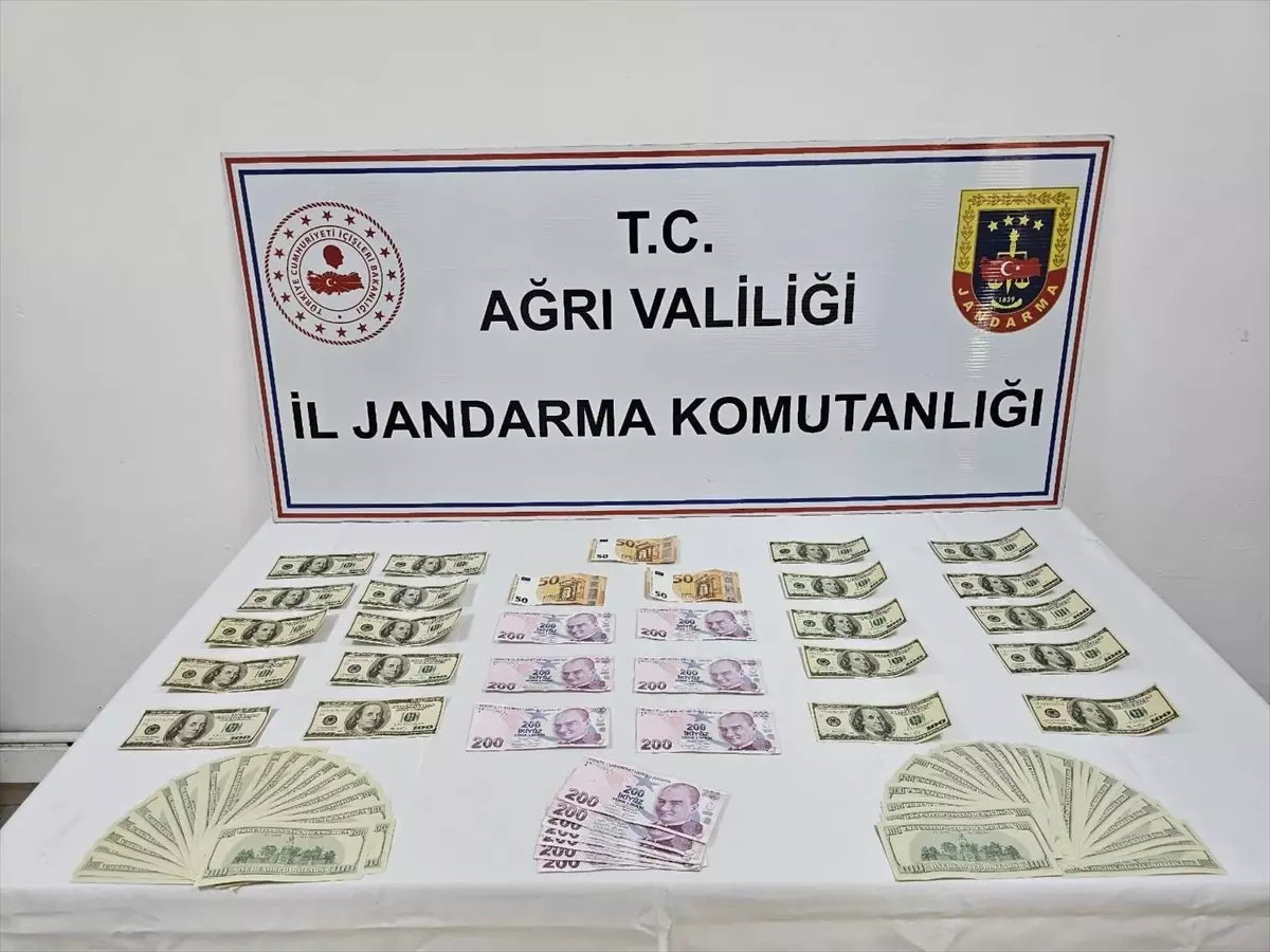 Ağrı'da Sahte Dolar ve Euro ile Yakalanan Şüpheli Gözaltına Alındı
