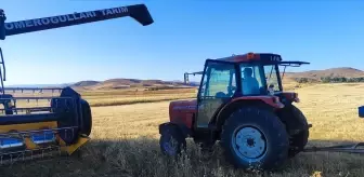 Ağrı'da Deneme Amacıyla Ekiilen Çörek Otunun Başarılı Hasadı Gerçekleşti