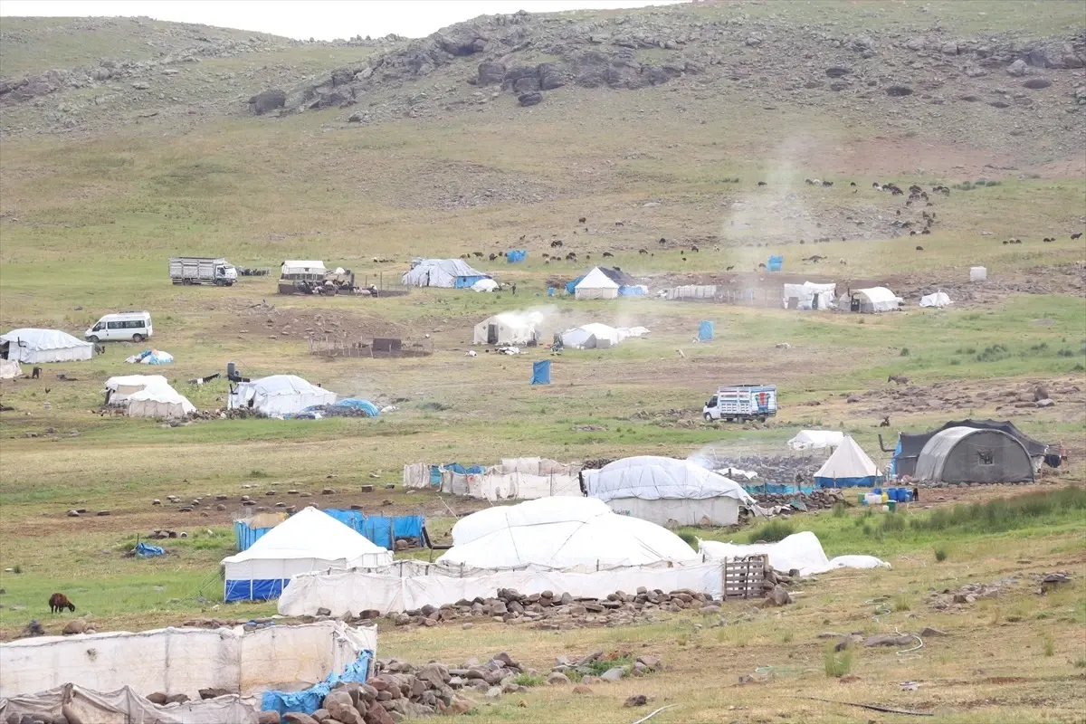 Ağrı Dağları'ndaki Göçer Aileler Yazı Çadırlarda Geçiriyor