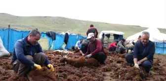 Ağrı Yaylalarında Göçer Ailelerin Dayanışması