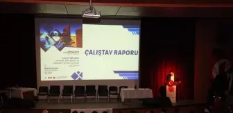Ahlat'ta İstihdam ve Kalkınma Üzerine çalıştay Düzenlendi