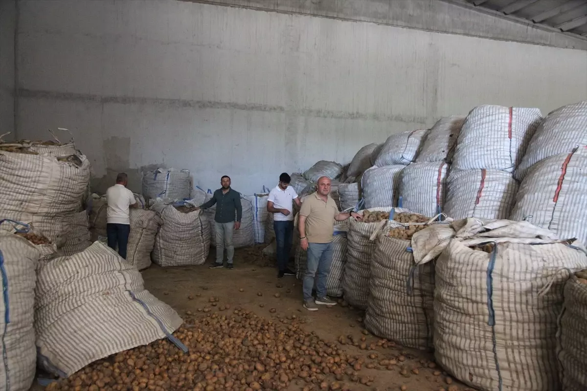 Ahlat'ta Çiftçiler Patates Destek Desteği Bekliyor