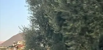 AK Parti İlçe Başkanı Özpek'ten Çöp Tepkisi