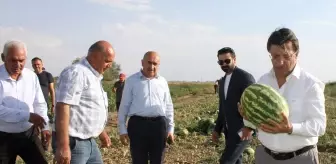 AK Parti Milletvekili Türkmenoğlu, Van'daki Çiftçileri Ziyaret Etti