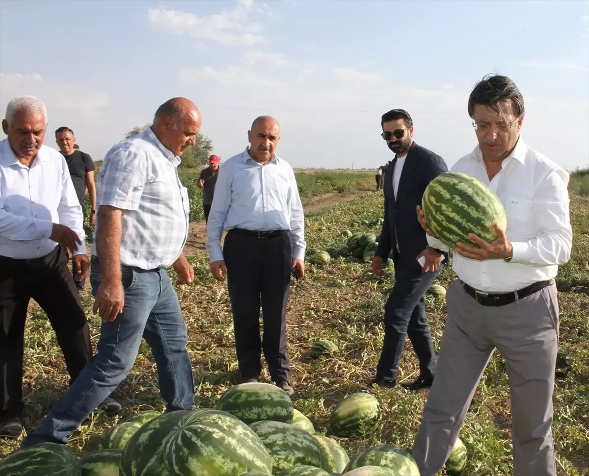 AK Parti Milletvekili Türkmenoğlu, Van'daki Çiftçileri Ziyaret Etti