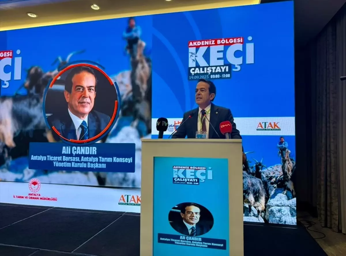 Akdeniz Bölgesi Keçi Çalıştayı Düzenlendi