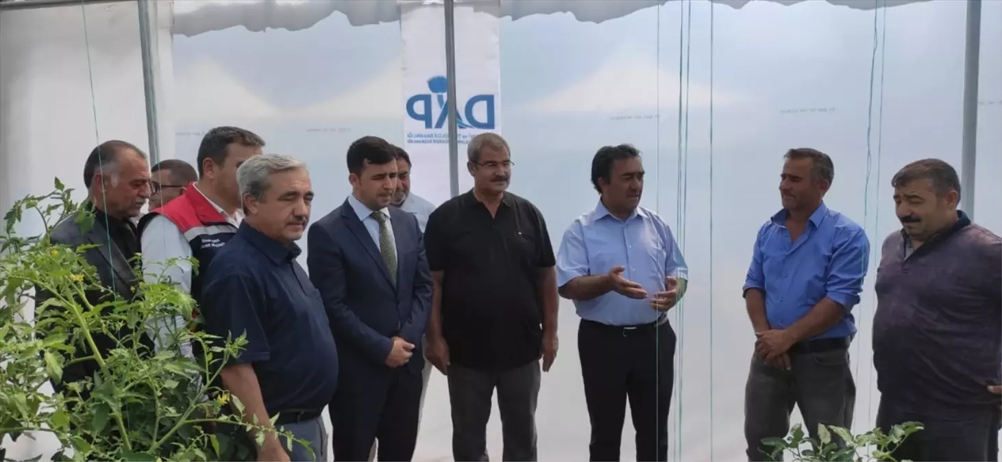 Sivas'ta Çiftçilere Domates ve Salatalık Fidesi Dağıtımı Yapıldı