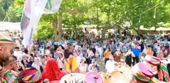 54. Geleneksel Cevizli Ayran Festivali Coşkuyla Gerçekleşti