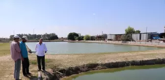 Hobisini Mesleğe Dönüştüren Girişimci: Kahraman Gündüz'ün Süs Balığı Başarısı