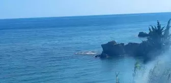 Alanya'da çıkan çalılık yangını söndürüldü