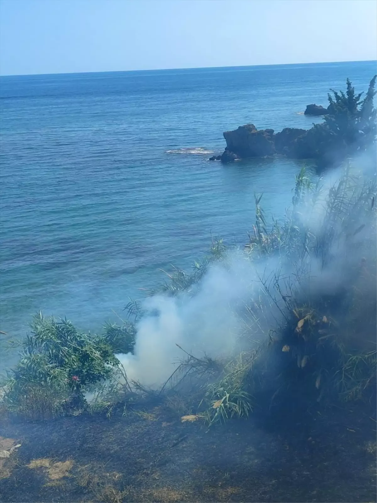Alanya'da çıkan çalılık yangını söndürüldü