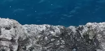 Alanya Kalesi'nde Mahsur Kalan Keçi Kurtarıldı