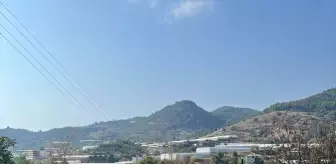 Alanya'da Yangın: İtfaiye Ekipleri Hızla Müdahale Etti