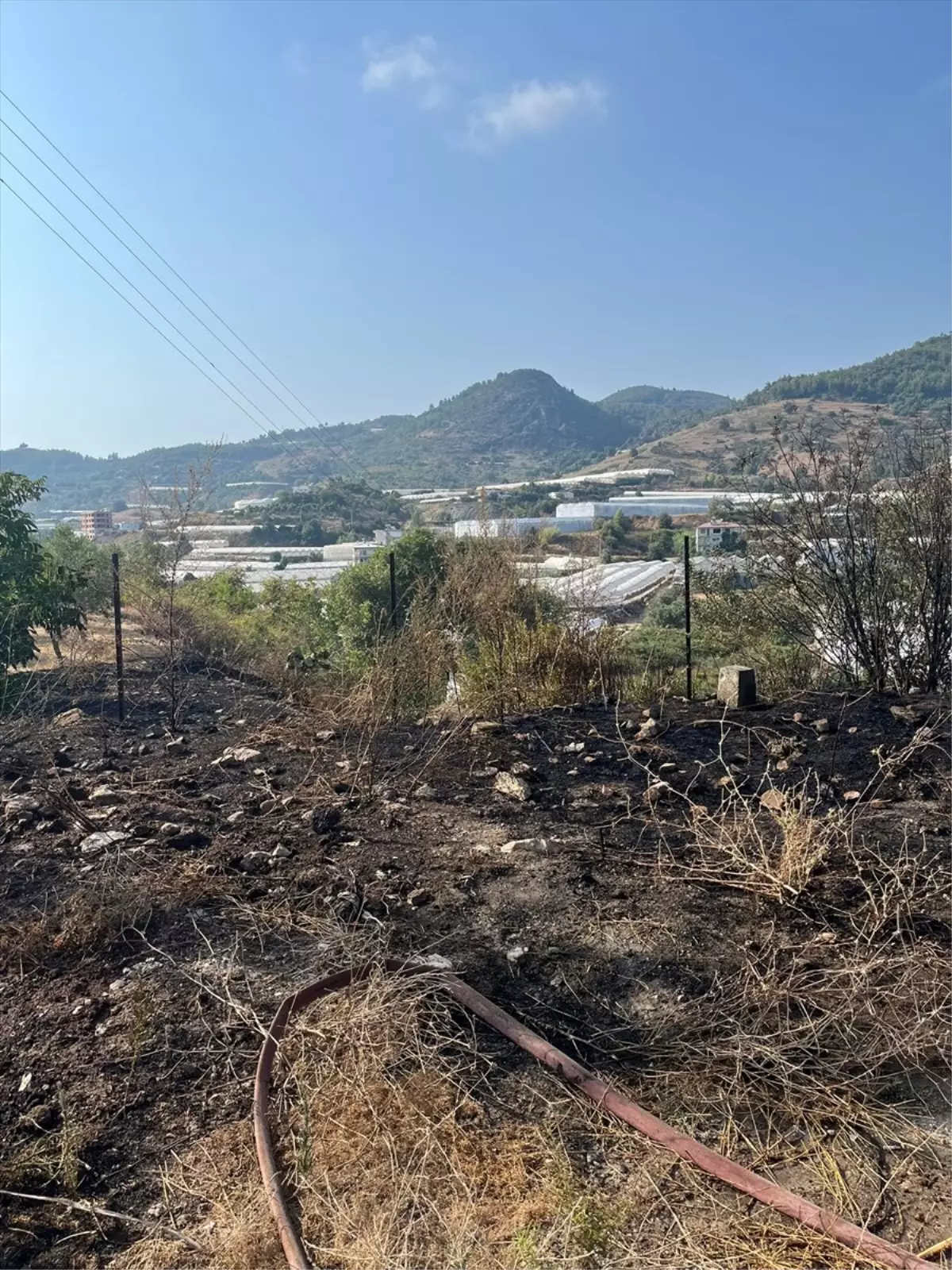 Alanya'da Yangın: İtfaiye Ekipleri Hızla Müdahale Etti