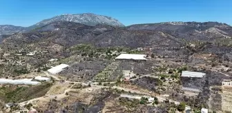 Antalya'daki Orman Yangını Havadan Görüntülendi