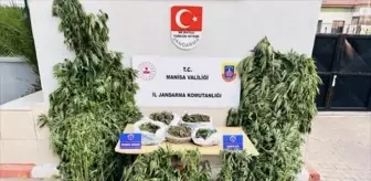 Manisa'da Uyuşturucu Operasyonu: 3 Gözaltı