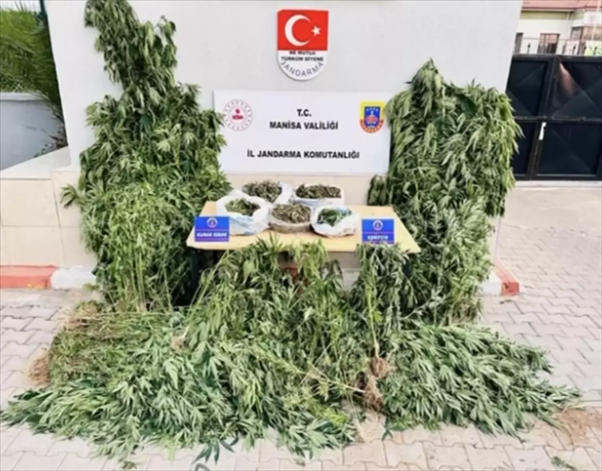 Manisa'da Uyuşturucu Operasyonu: 3 Gözaltı