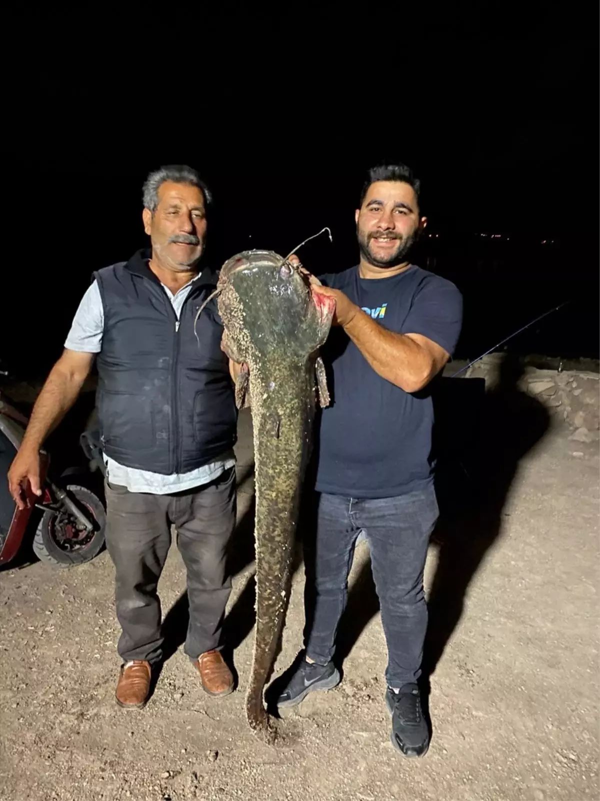 Almus Barajı'nda 153 Santimetre Uzunluğunda Yayın Balığı Yakalandı
