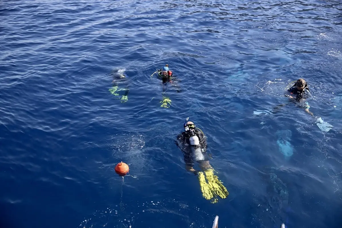 Altın Palet Sualtı Görüntüleme Türkiye Şampiyonası Fethiye'de Başladı