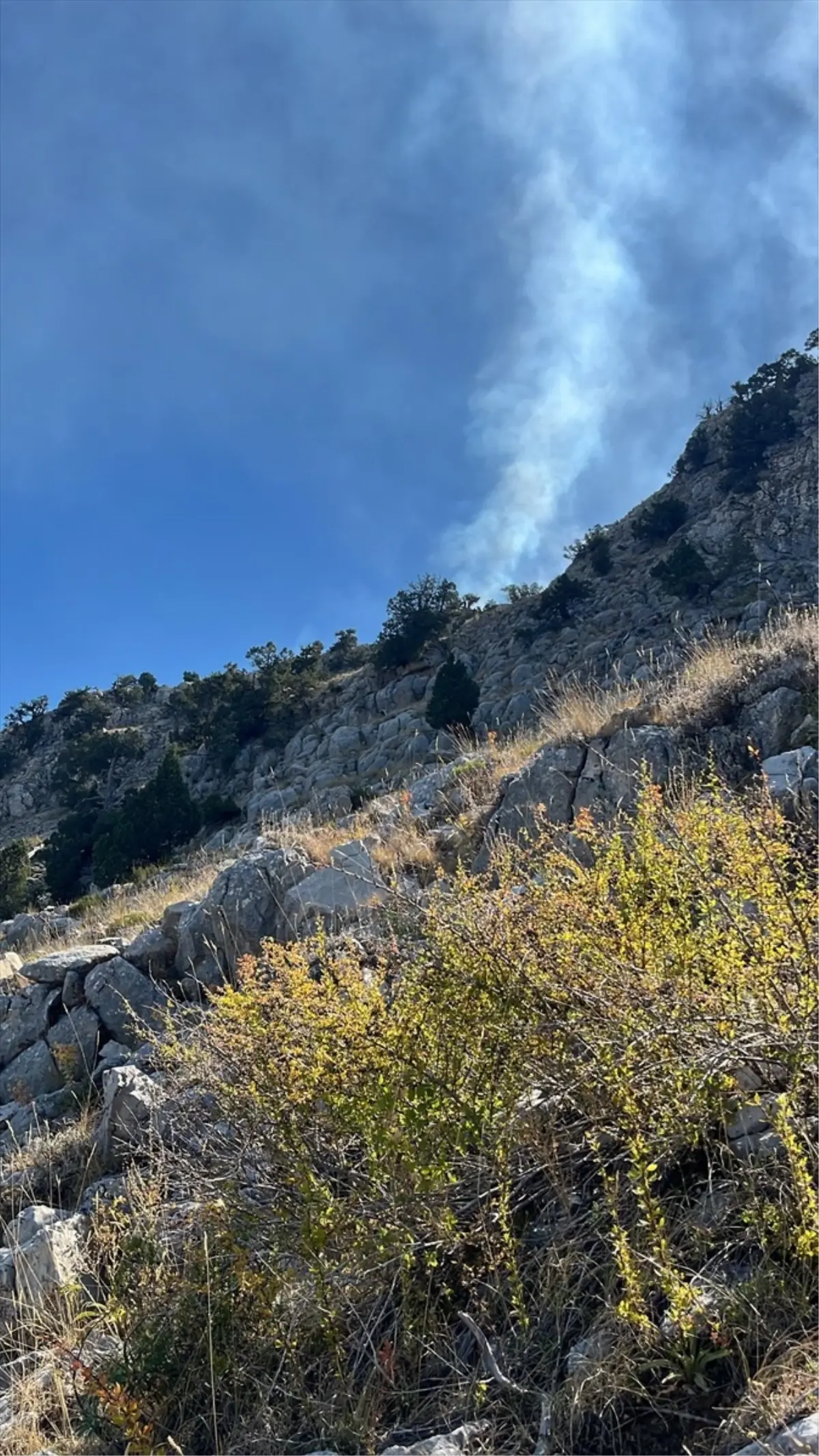 Burdur'un Altınyayla ilçesinde yangın alarmı
