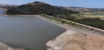 Edirne'deki Altınyazı Barajı, Çeltik Üreticilerinin Kurtarıcısı Oldu