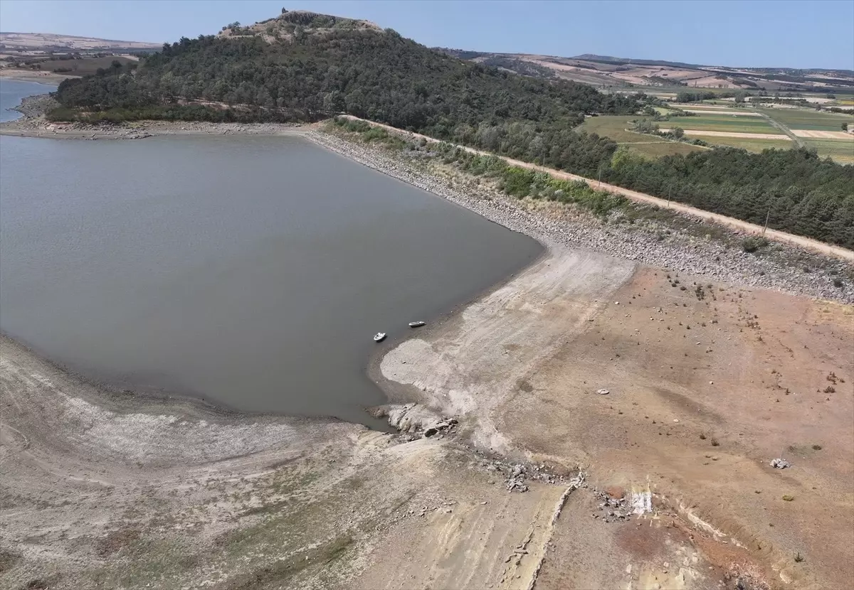 Edirne'deki Altınyazı Barajı, Çeltik Üreticilerinin Kurtarıcısı Oldu