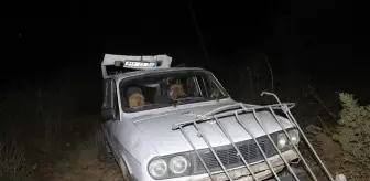 Amasya'da Otomobil Ağaçlara Çarptı: 7 Yaralı