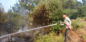 Amasya'da Orman Yangını Kontrol Altına Alındı
