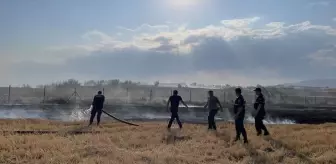 Amasya'da çıkan yangında 250 dönüm tarım arazisi zarar gördü