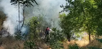 Amasya'da Ot Yangını Kontrol Altına Alındı