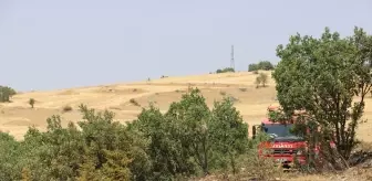Amasya'da Orman Yangını: 2 Hektar Alan Zarar Gördü