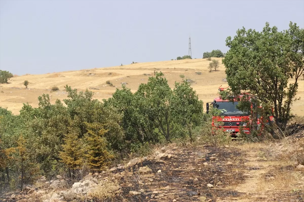 Amasya'da Orman Yangını: 2 Hektar Alan Zarar Gördü