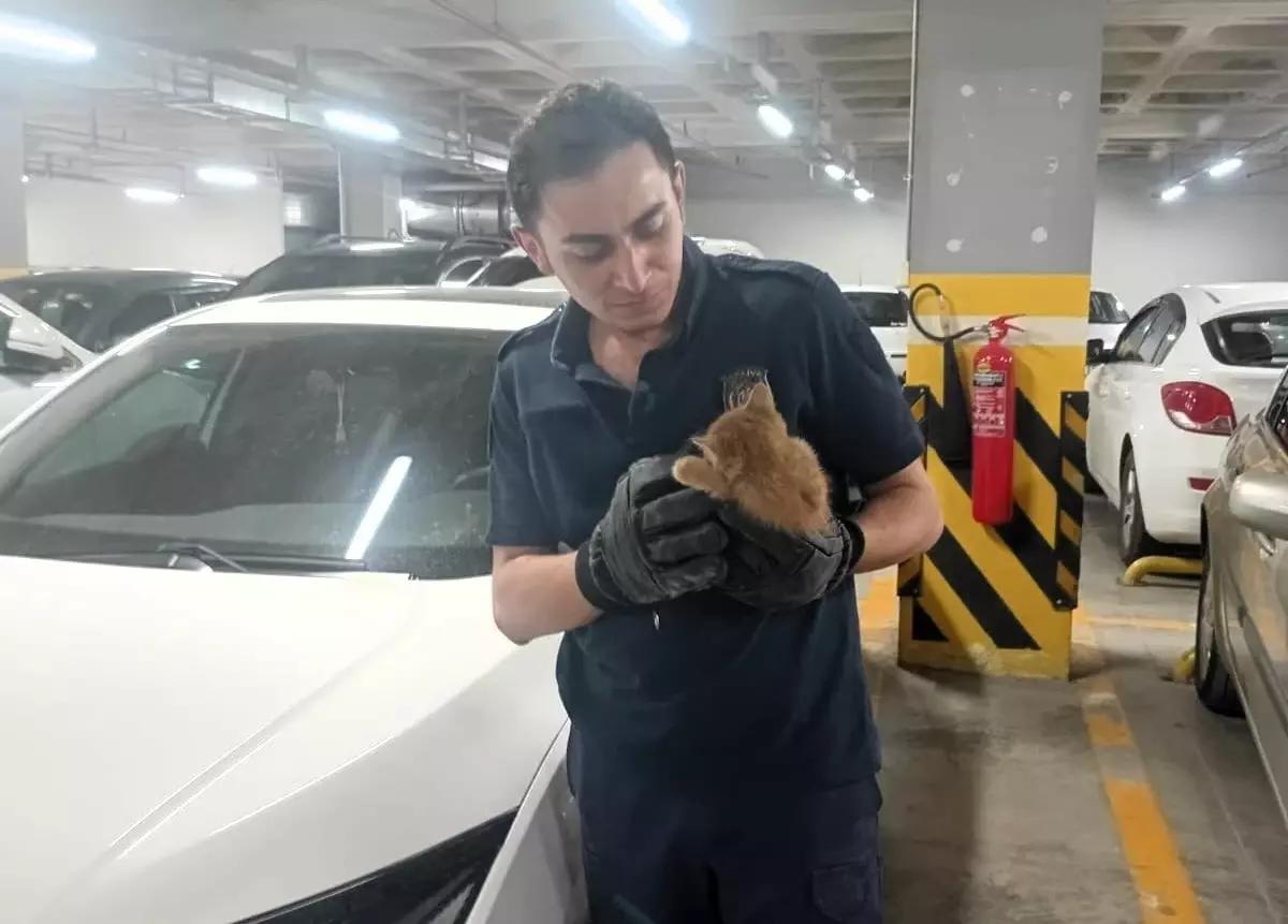 Amasya'da Motor Bölümüne Sıkışan Kedi Yavrusunu İtfaiye Kurtardı