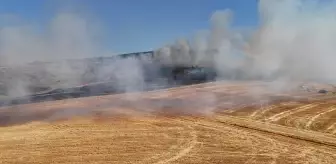 Amasya'da Tarım Arazisinde Çıkan Yangın Söndürüldü