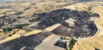 Merzifon'da 500 Dönüm Tarım Arazisi Yangında Zarar Gördü