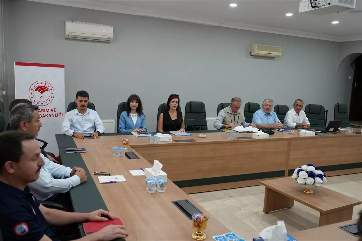 Amasya'da Tarım ve Hayvancılık Çalışmaları Değerlendirildi