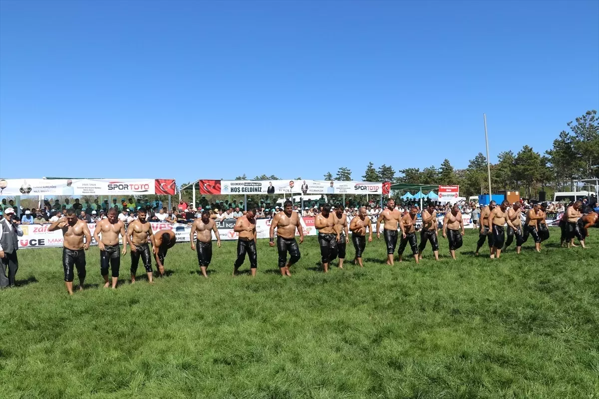 Suluova'da Yağlı Güreş Şenliği Gerçekleşti
