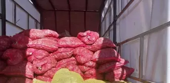 Sakarya'da Kaçak Avlanan 5,4 Ton Midye Ele Geçirildi